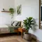 7 Tanaman Hias untuk Kamar yang Bikin Suasana Lebih Sejuk, Cantik, dan Nyaman