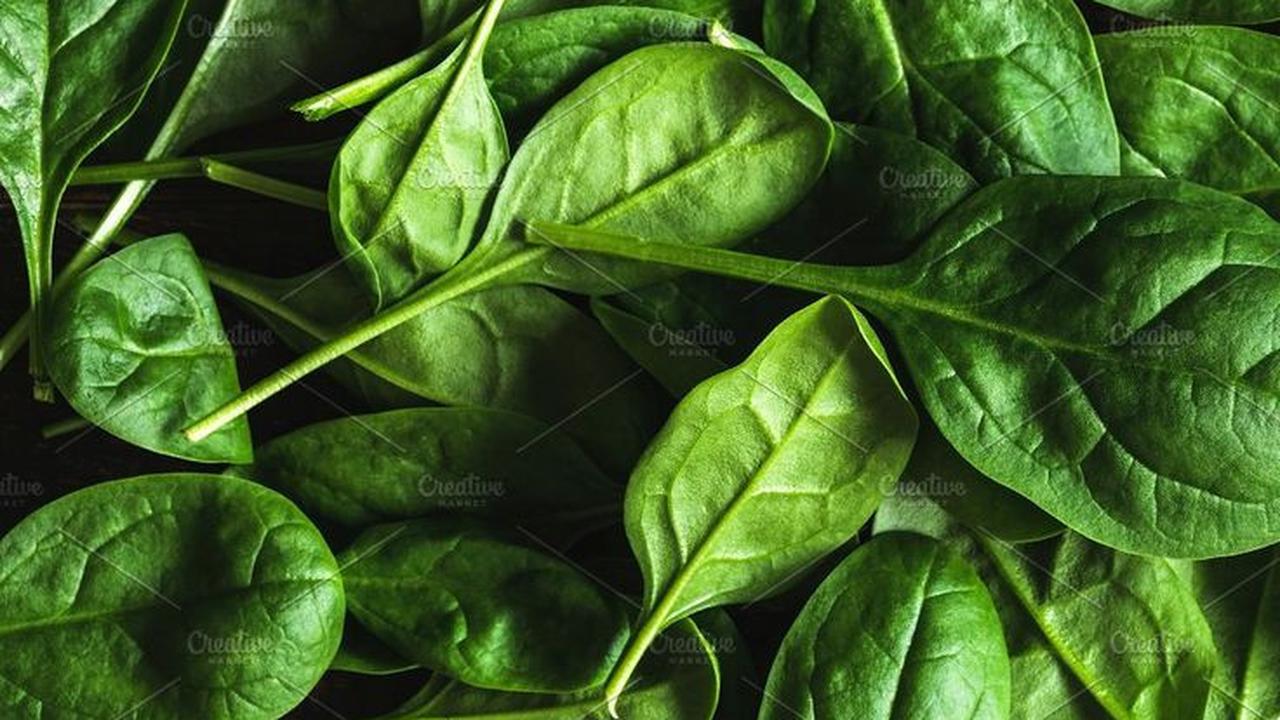Daun Bayam