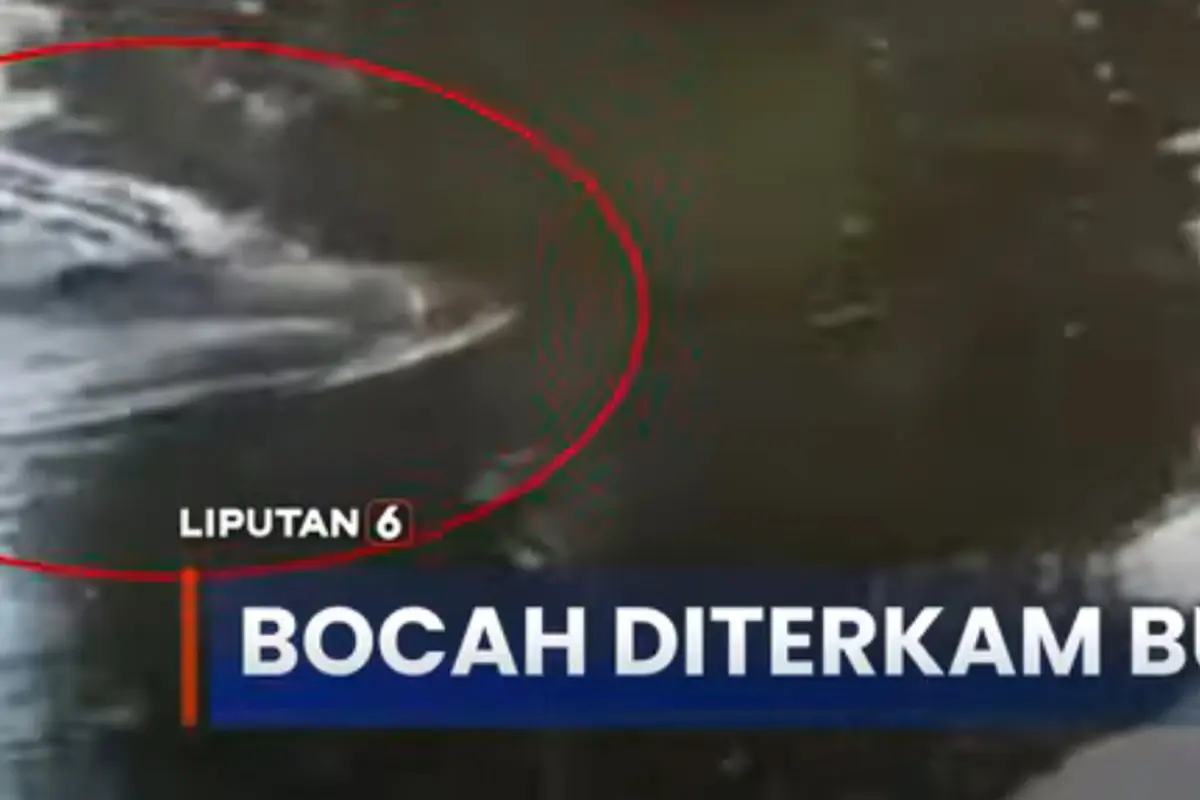 Bocah Diterkam Buaya
