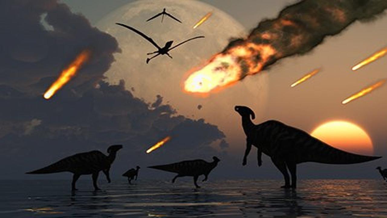 5 Fakta unik dinosaurus mempunyai bulu di tubuhnya