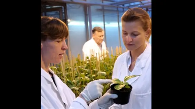 (c) careers.top5.com