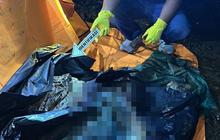 Mutilasi Ibu Lahat Judi Online: Motif Keji Anak Habisi Nyawa Orang Tua Terungkap