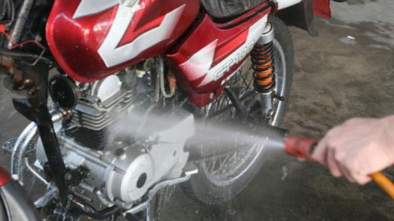 Motor Sering Dikencingi Kucing? Ini Cara Ampuh Menghilangkan Bau Pesing