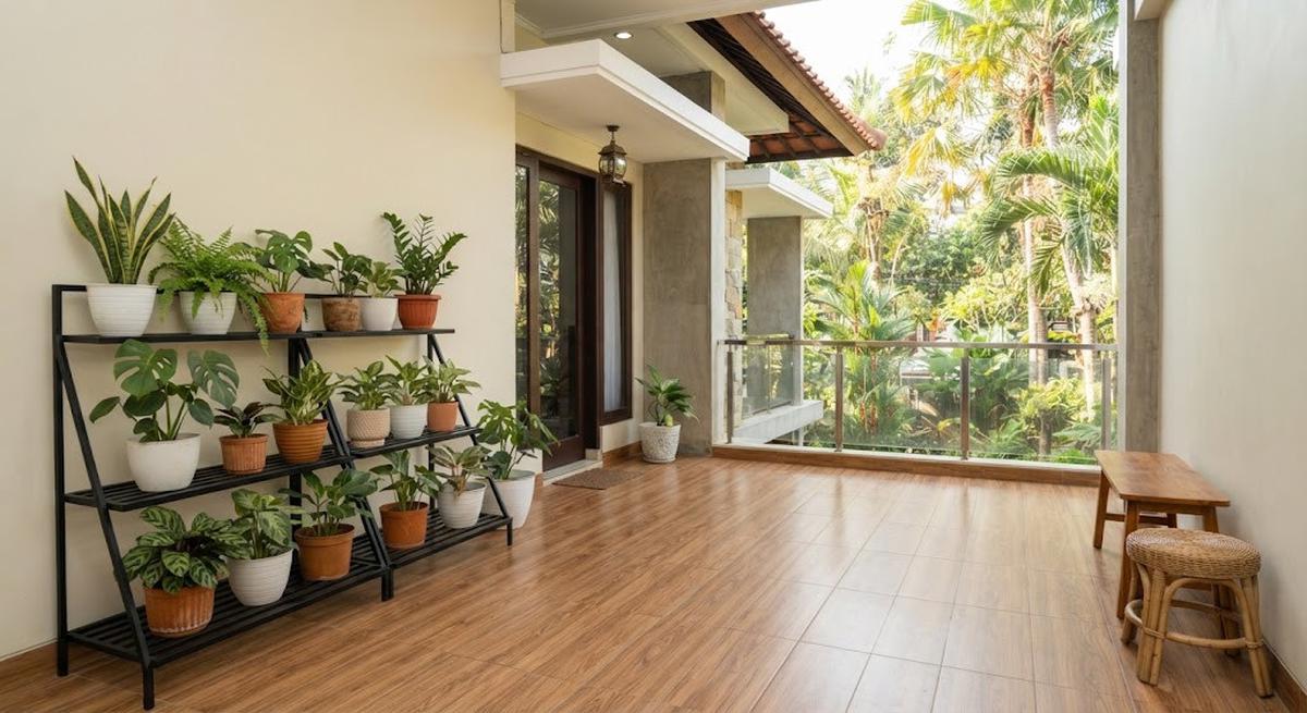 Model teras minimalis dengan lantai motif kayu yang cocok untuk rumah masa kini dengan rak tanaman
