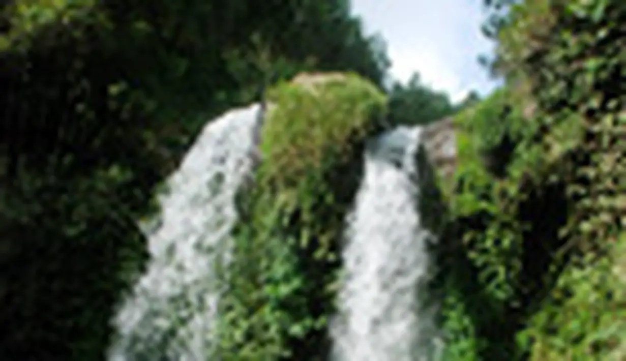 liputan6