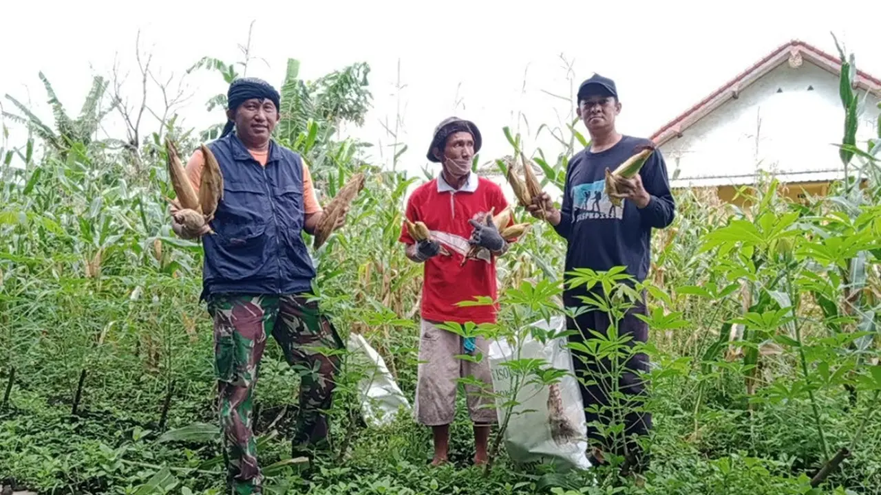 Difabel Bertani, Kegiatan di Malang yang Ajak Penyandang Disabilitas Geluti Dunia Pertanian
