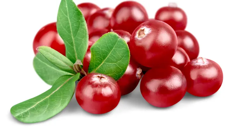 cranberry