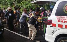 Pohon Tumbang di Badung Hantam Kepala Pengendara Motor, Korban Meninggal Seketika