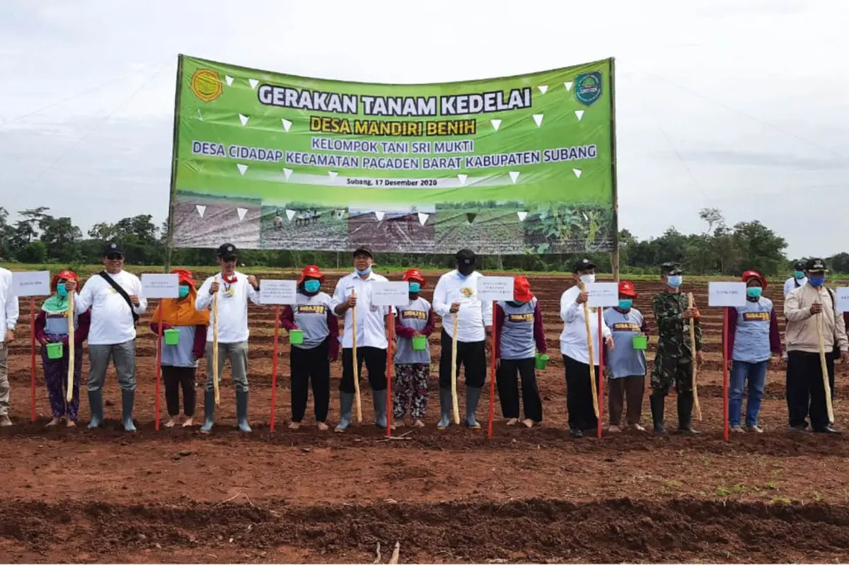 Pertanian di Subang