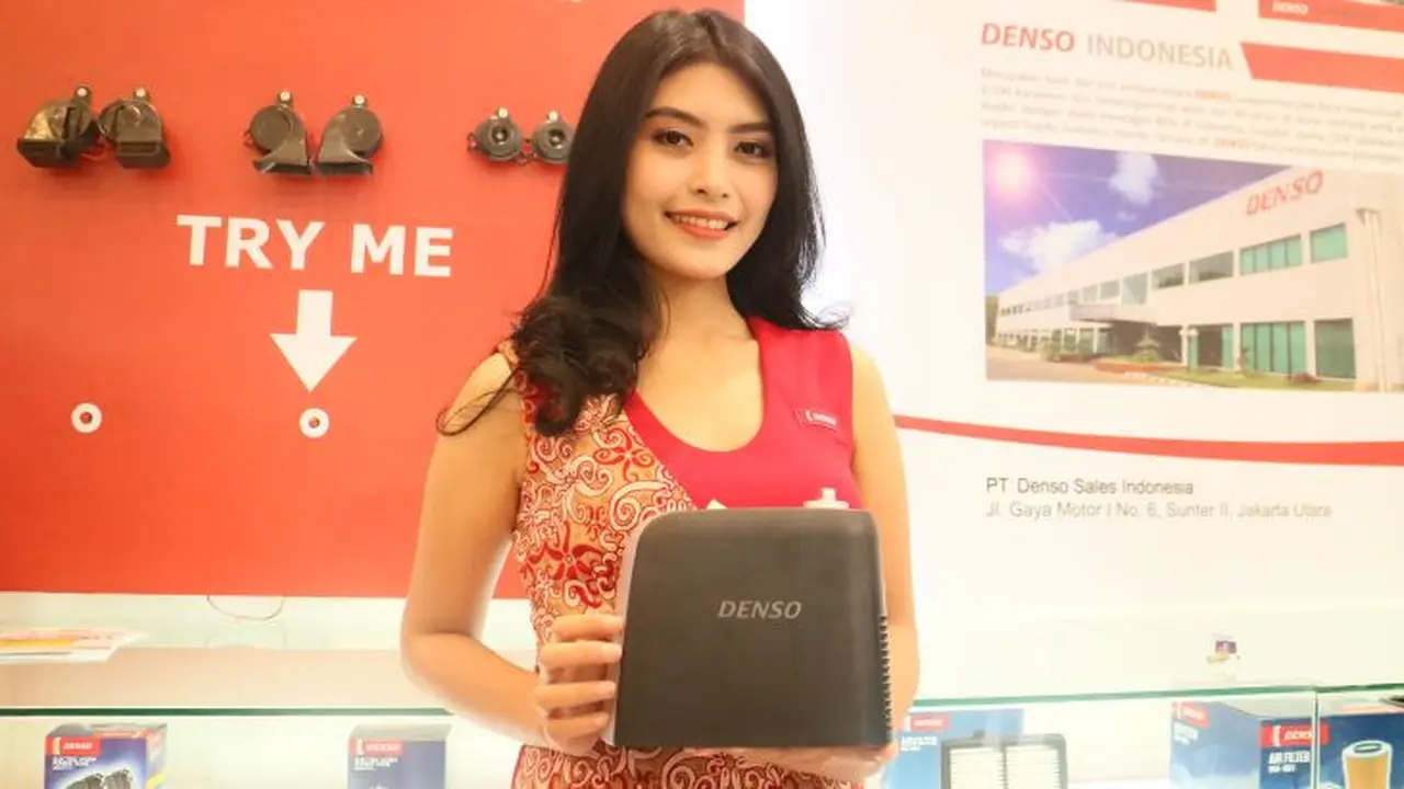 Denso Cleverin