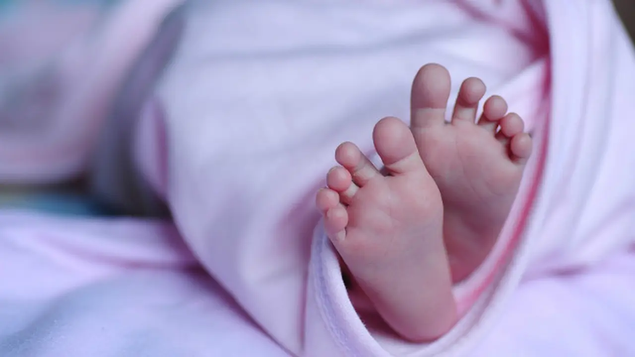 Bayi raksasa (0)