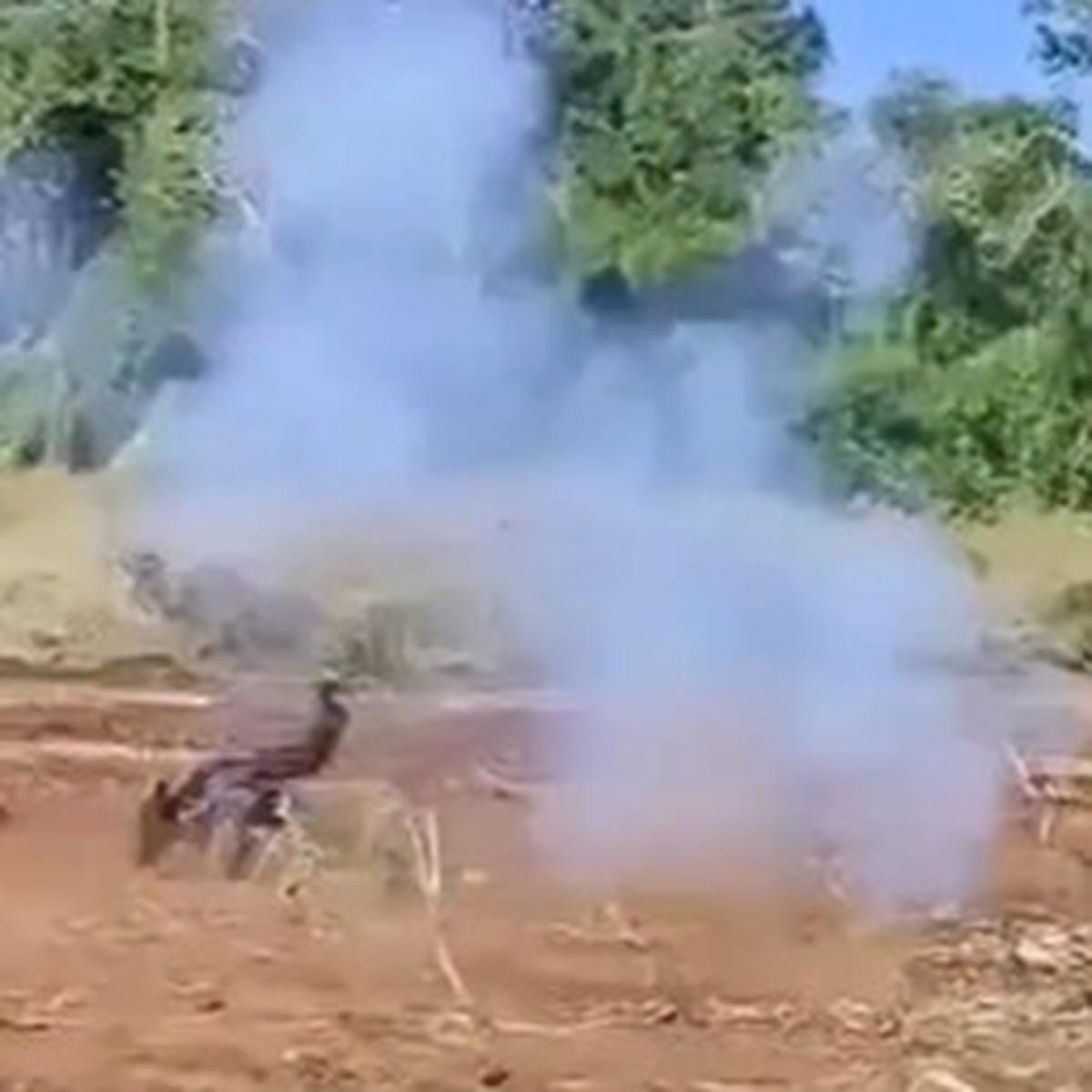 Ini Senjata RPG-7 Andalan Hamas yang Tewaskan Tentara Myanmar Hingga Pecah Kepala