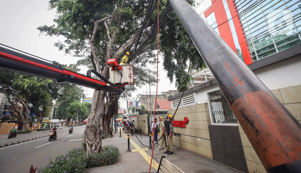 Petugas Satgas Bina Marga Jakarta Pusat melakukan penataan jaringan utilitas di kawasan Wahid Hasyim, Jakarta, Selasa (15/3/2022). Penataan kabel utilitas yang semrawut diharapkan meningkatkan kualitas pedesterian DKI Jakarta sehingga pejalan kaki merasa aman dan nyaman. (Liputan6.com/Faizal Fanani)