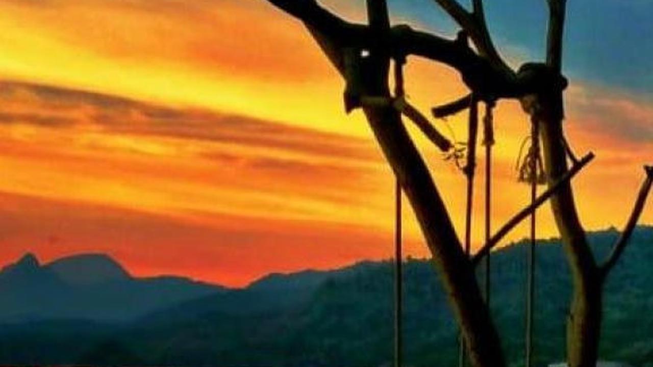 Potret Taman Laut Karang Tresno Trenggalek, Ombak Tenang Cocok untuk Menyelam Saksikan Keindahan Terumbu Karang