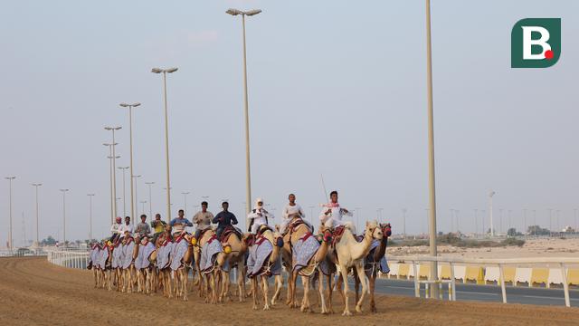 Al Shahaniya Camel Racetrack