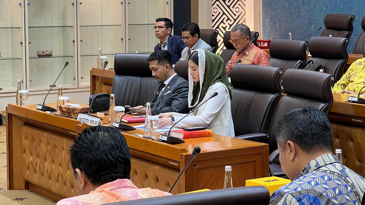 Novita Hardini Usulkan Dana Abadi UMKM untuk Dorong Pertumbuhan Ekonomi di Desa
