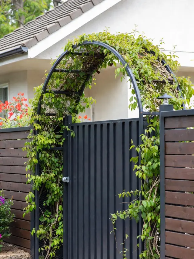 Model Pagar Rumah Tanaman Rambat Hidup Konsep Green Fence