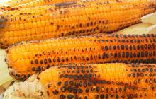 7 Trik Simpan Jagung Bakar Sisa Tahun Baru 2026 Supaya Tidak Kering & Tahan Lama
