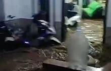 Banjir Bikin Puncak Bogor Porak Poranda, Dedi Mulyadi Marah ke PTPN: Hentikan Alih Fungsi Lahan!