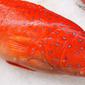 Ikan kerapu. Foto: friedchillies