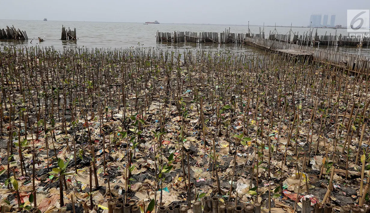 Tumpukan sampah terlihat di antara hutan mangrove di kawasan Muara Angke, Jakarta Utara, Sabtu (14/4). Sampah-sampah yang terbawa oleh arus tersebut berdampak besar pada rusaknya hutan mangrove. (Liputan6.com/Johan Tallo)