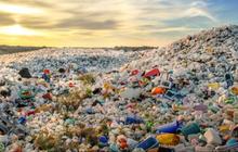 Dari Masalah Jantung Hingga di Testikel, Ketahui Bahaya Paparan Mikroplastik Terhadap Tubuh Kita