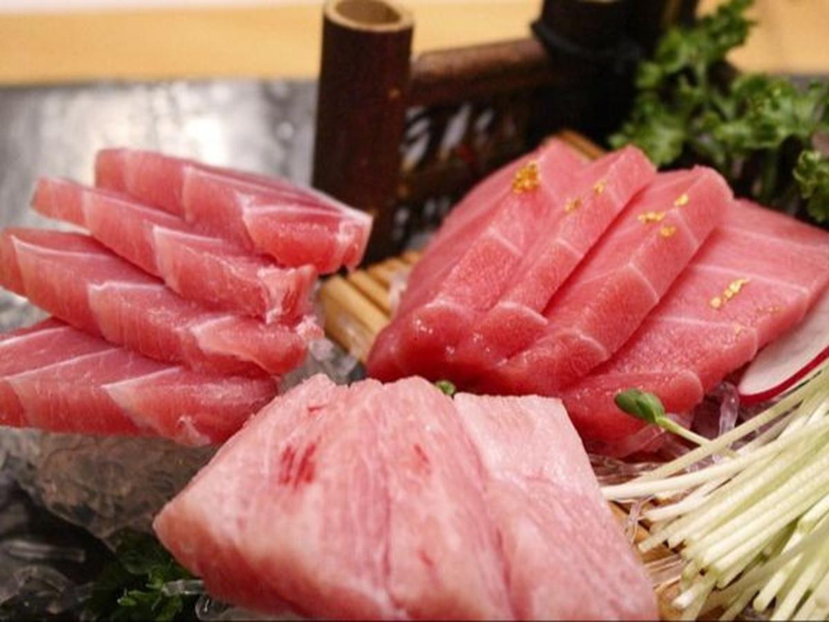 Manfaat Ikan Tuna