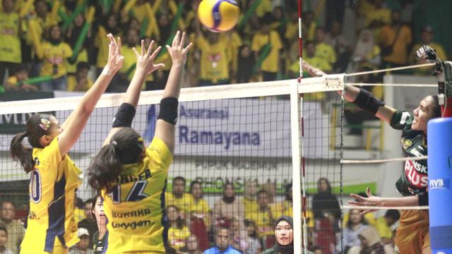 PLN Mobile Proliga 2025