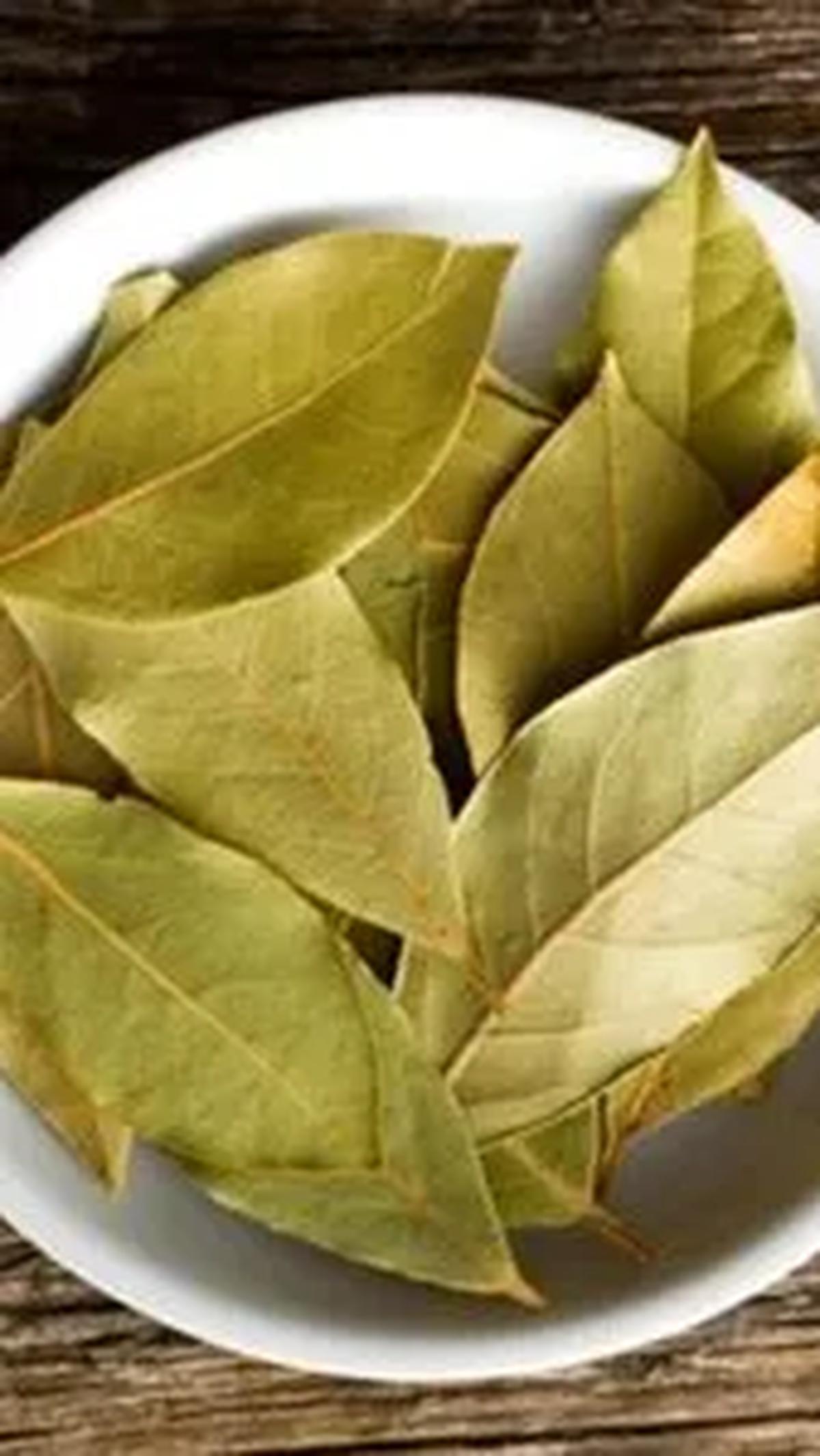 Indonesia kaya akan jenis minuman herbal bermanfaat, salah satunya adalah rebusan daun salam dan jahe. Rempah-rempah ini direbus untuk kemudian diambil airnya dan dikonsumsi. Minuman herbal menyehatkan dari kombinasi dua bahan ini dipercaya manjur untuk 