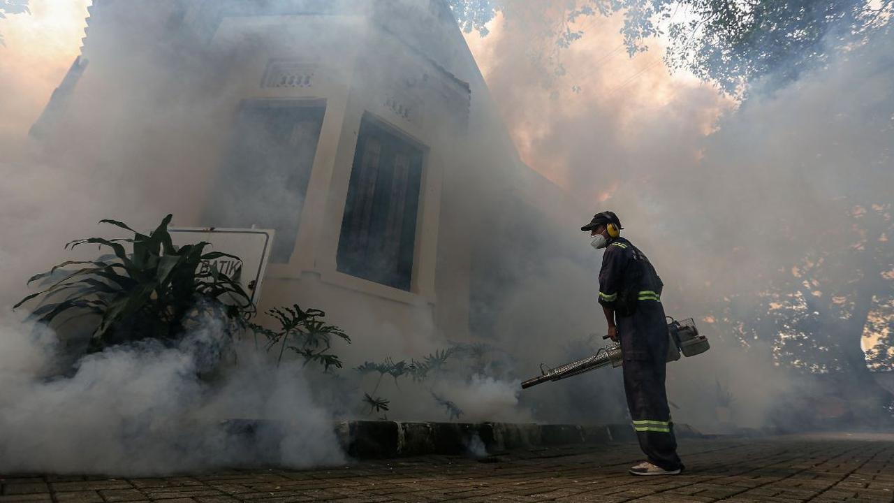 Tiga Anak Pasien DBD di Situbondo Meninggal Dunia