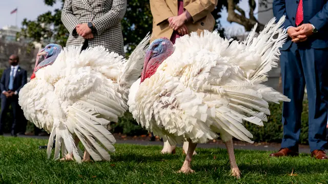 Joe Biden Thanksgiving