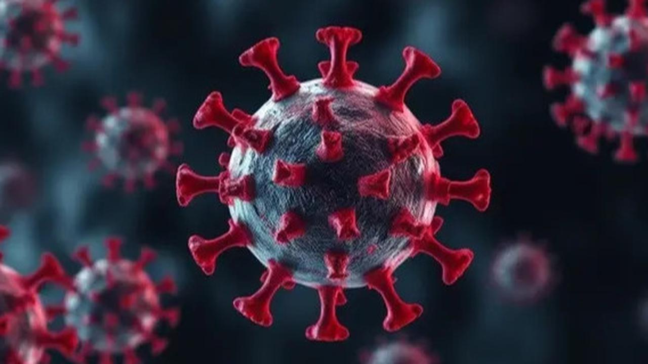 Mantan Direktur di WHO Asal Indonesia Beberkan 3 Fakta Penyebaran virus HMPV