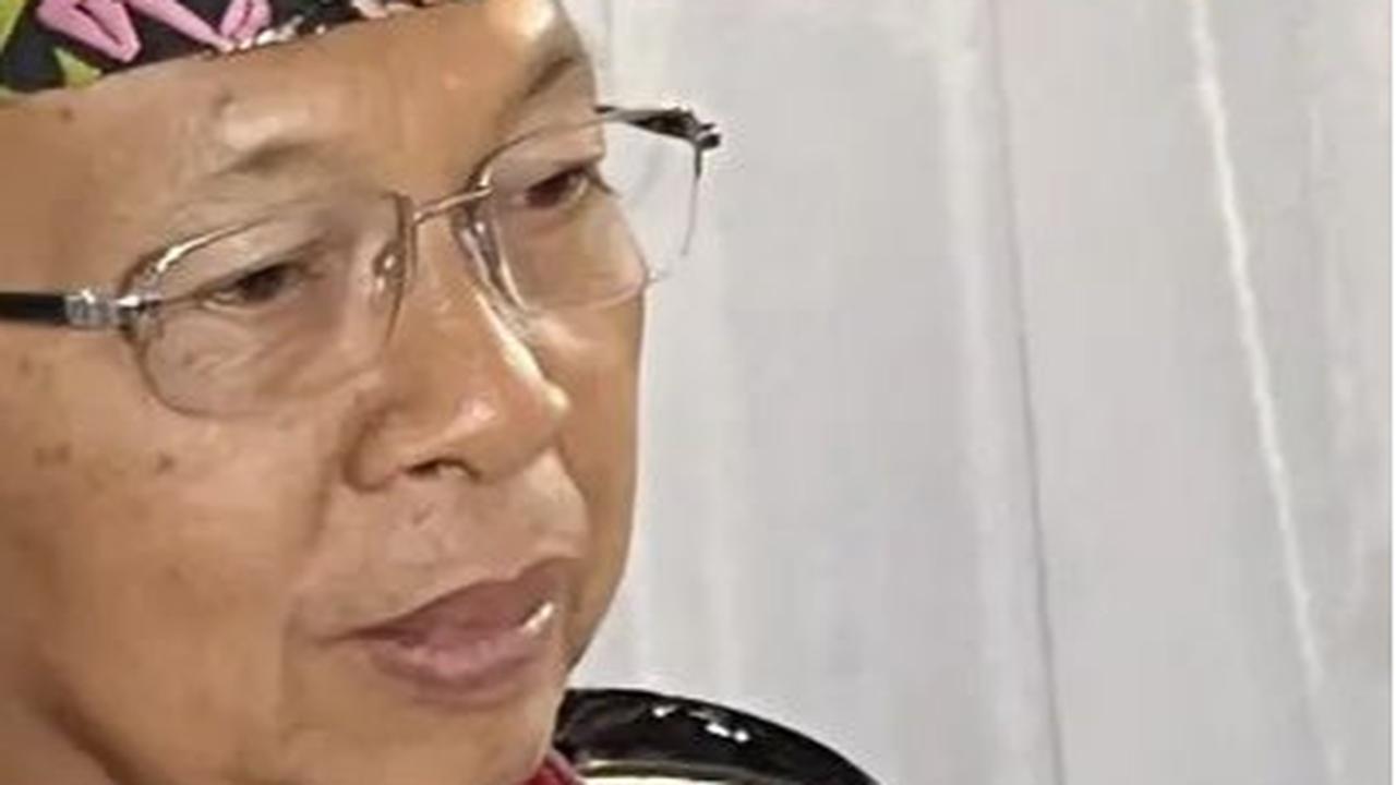 Ketua DPD Wayan Koster Tak Takut Massa Padati Kampanye Gibran di Bali