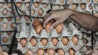 Pekerja memilih telur ayam di salah satu agen di Jakarta, Selasa (14/3/2023). Kenaikan sejumlah harga komoditas pangan salah satunya telur ayam merupakan kondisi yang terjadi setiap tahunnya atau menjelang Hari Besar Keagamaan dan Nasional (HBKN). (merdeka.com/Iqbal S Nugroho)