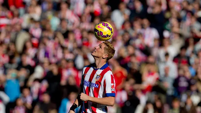 Fernando Torres