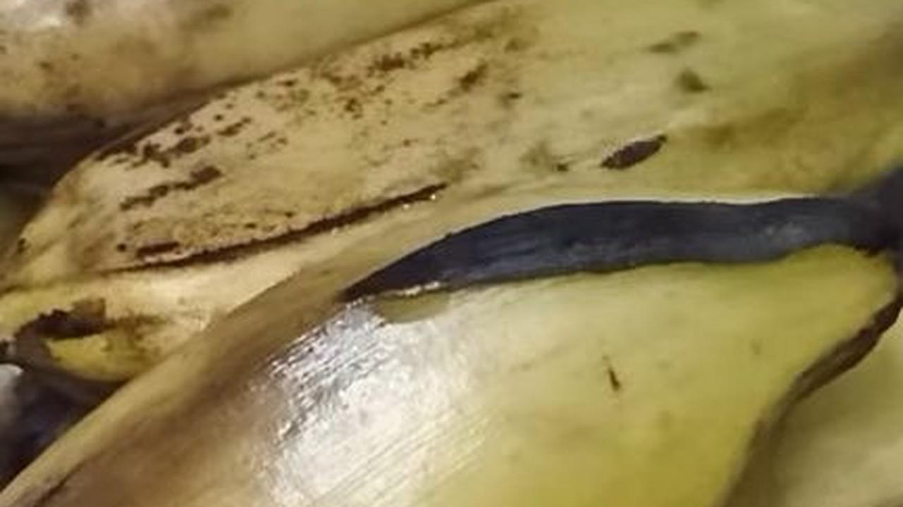 Pisang Tetap Cerah dan Tidak Menghitam