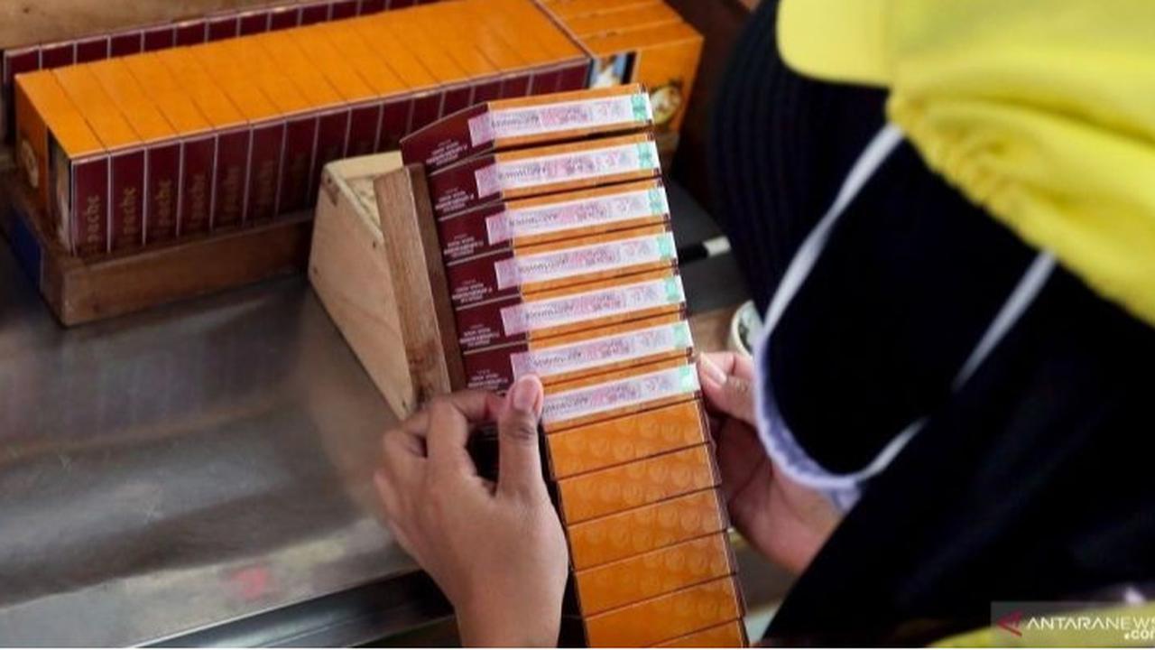 Prof Hikmahanto Ungkap Dampak Buruk Kemasan Rokok Tanpa Merek Bagi Indonesia