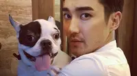 Choi Siwon diminta netizen mundur dari dramanya usai anjingnya menggigit tetangga hingga tewas. (Sumber Foto: soompi)
