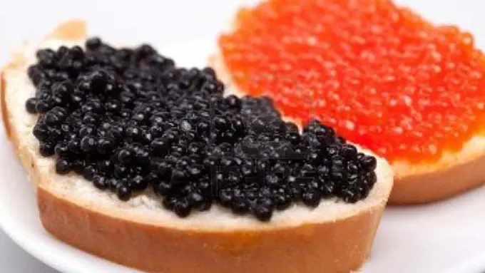 (C) oddlovescompany.com