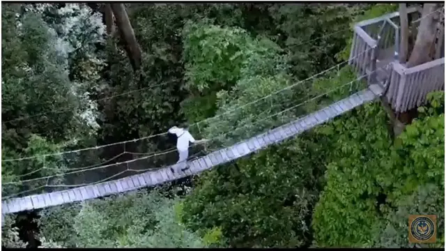 IKN Rintis Wisata Alam, Wisatawan Diminta Menginap di Balikpapan