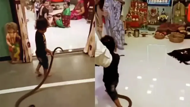 Anak India membawa ular masuk ke dalam rumahnya
