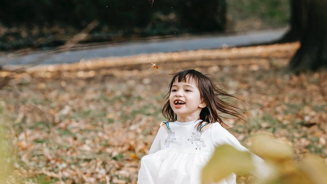 Agar dapat mengoptimalkan kecerdasan naturalis pada anak, penting untuk mengenali ciri-ciri anak yang memiliki kecerdasan ini. Berikut beberapa ciri-ciri anak yang memiliki kecerdasan naturalis: