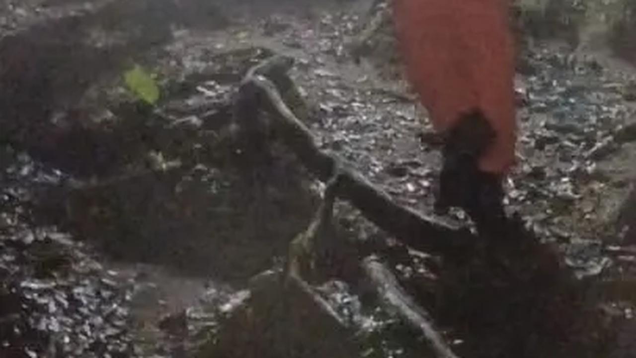 Bantu Evakuasi Korban Erupsi Gunung Marapi, Basarnas Jambi Kirim 17 Personel ke Sumbar