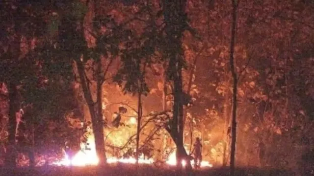 Baluran Kebakaran