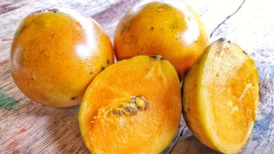 Mengenal Buah Mundu yang Jarang Ditanam, Buah Lokal yang Perlu Dilestarikan
