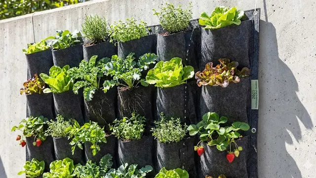 Wall Planter (Gemini AI)