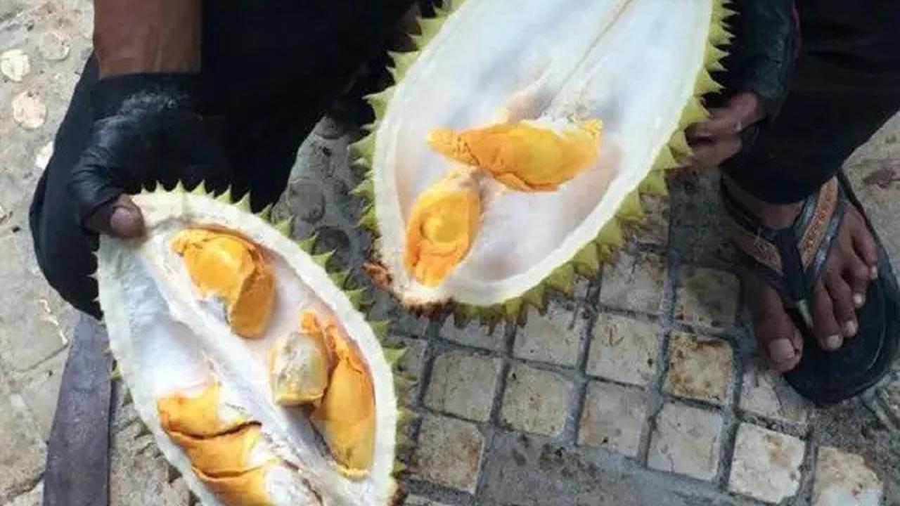 Bukan Penderita Kolesterol Tinggi, Justru 3 Kriteria Ini yang Harus Menjauhi Durian!
