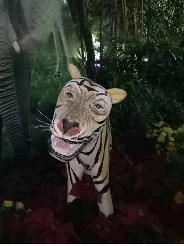 macan lucu