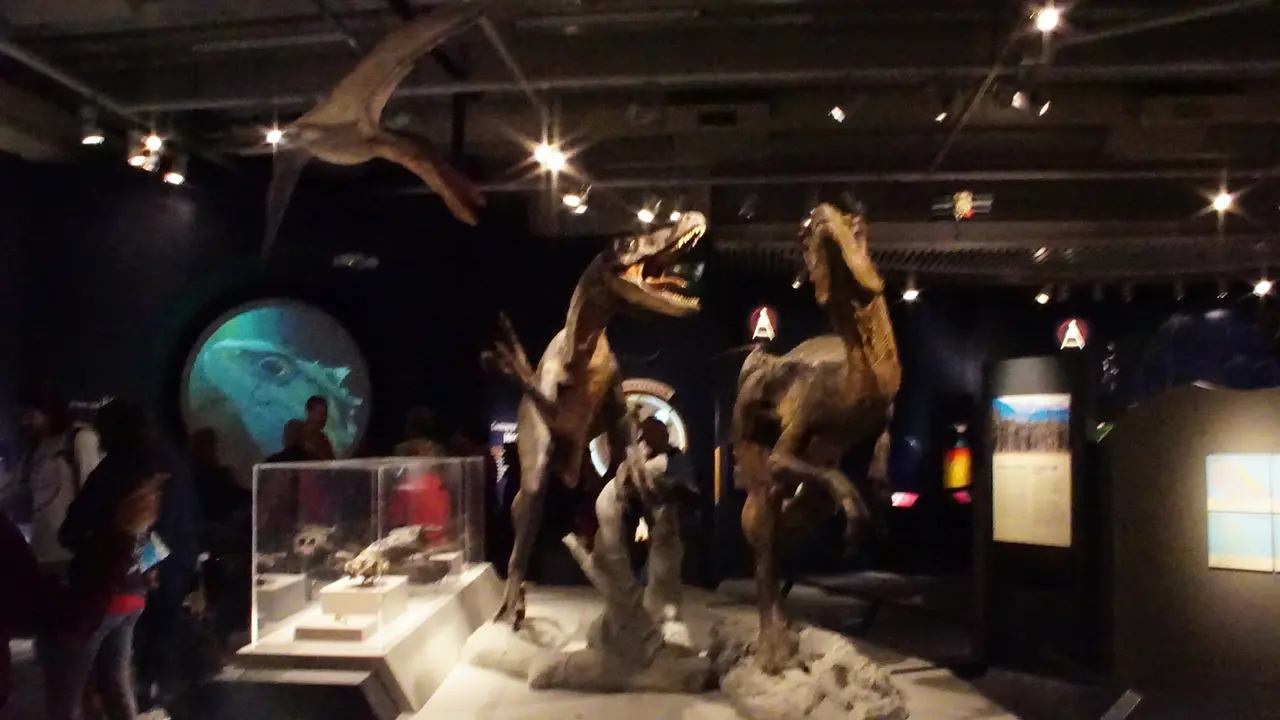 Museum Te Papa