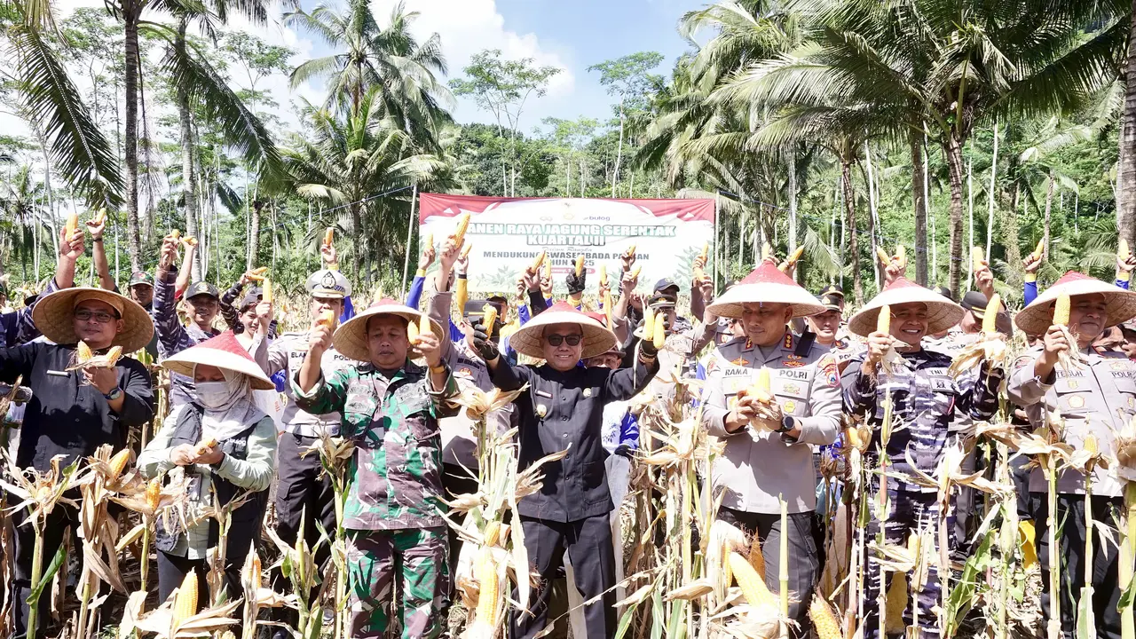 Perkuat Ketahanan Pangan Nasional, Banyuwangi Panen Raya Jagung Kuartal II 